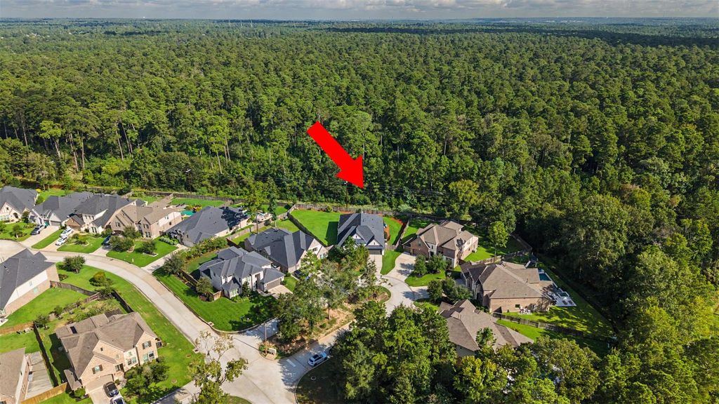 313 Lane Landing Place, Montgomery, TX 77316