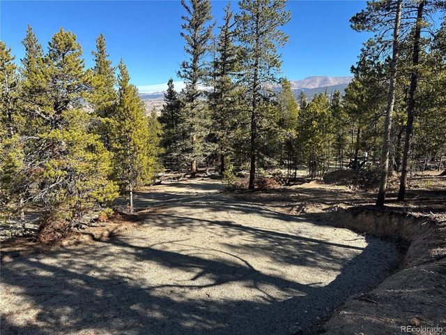 48 Lodgepole Dr, Leadville, CO 80461