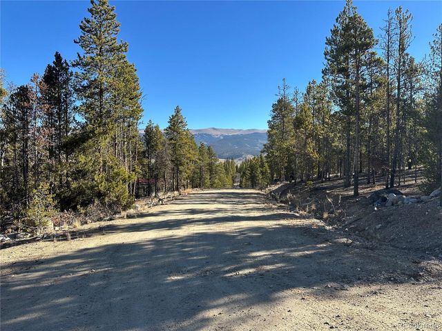 48 Lodgepole Dr, Leadville, CO 80461