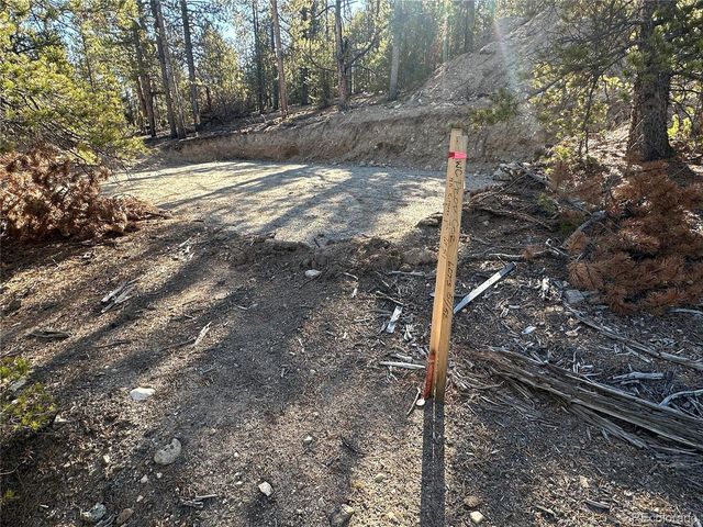 48 Lodgepole Dr, Leadville, CO 80461