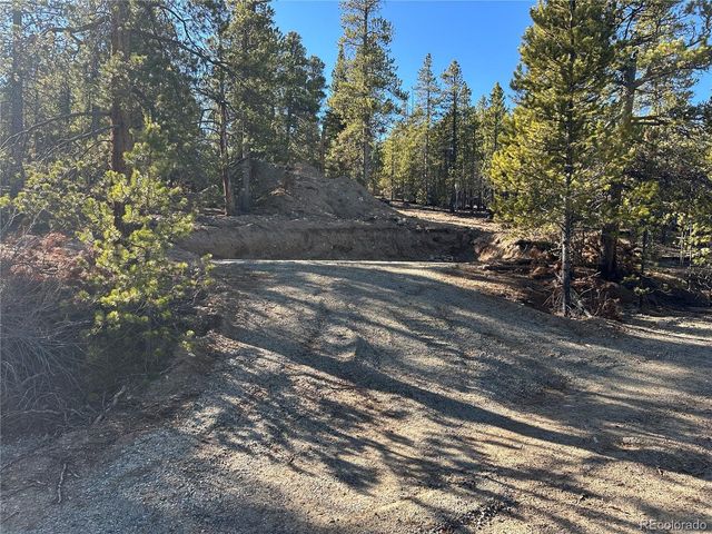 48 Lodgepole Dr, Leadville, CO 80461