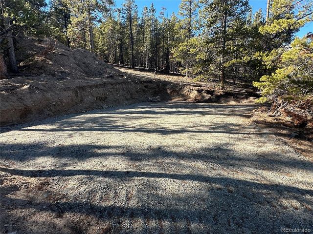 48 Lodgepole Dr, Leadville, CO 80461