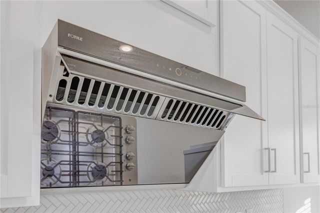 10551 TRANQUIL MEADOW LOOP, Riverview, FL 33569