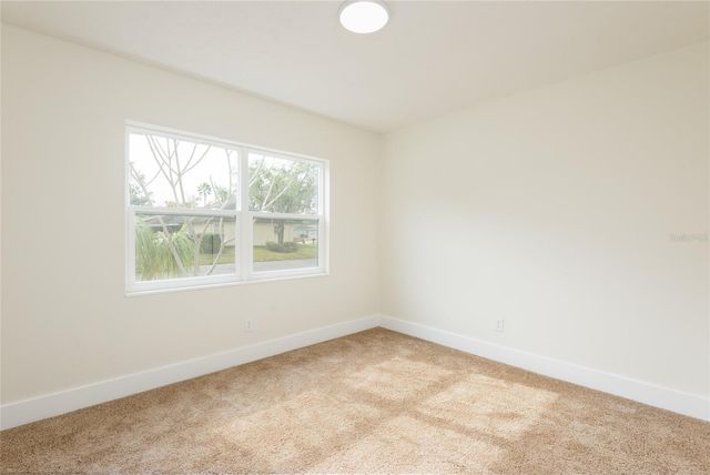 916 TANGELO PLACE, Brandon, FL 33510