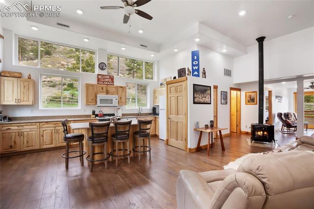 437 Langnis Road, Guffey, CO 80820