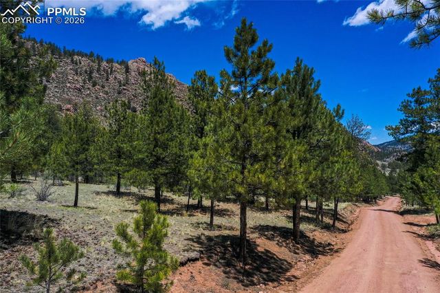 437 Langnis Road, Guffey, CO 80820