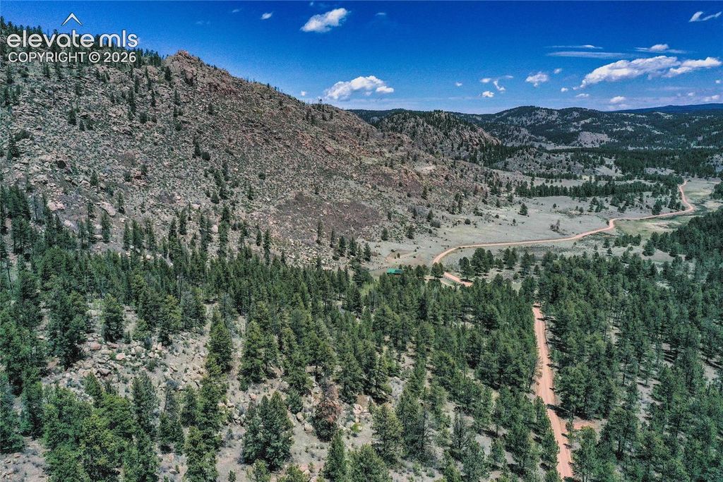 437 Langnis Road, Guffey, CO 80820 — photo 3