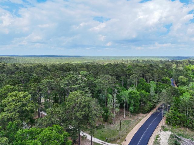 19300 Mount Pleasant Road, Montgomery, TX 77356