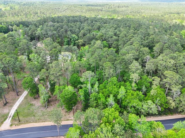 19300 Mount Pleasant Road, Montgomery, TX 77356