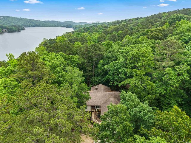 3 Alcora Lane, Hot Springs Village, AR 71909