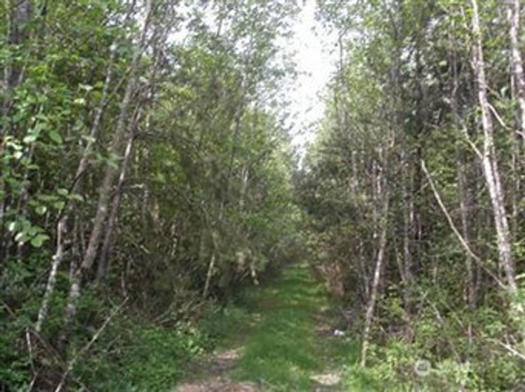 310 Oyler Road, Ethel, WA 98542