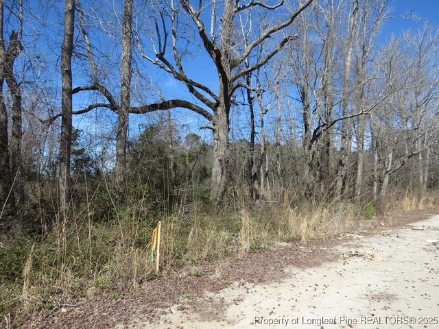 TBD Kehukee Drive, Parkton, NC 28371