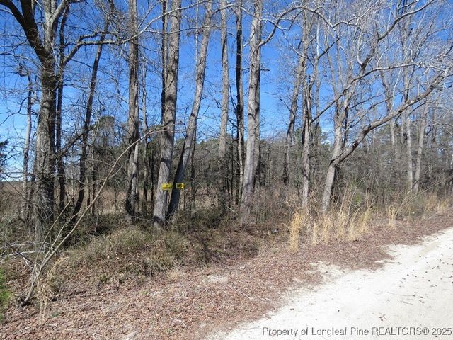 TBD Kehukee Drive, Parkton, NC 28371