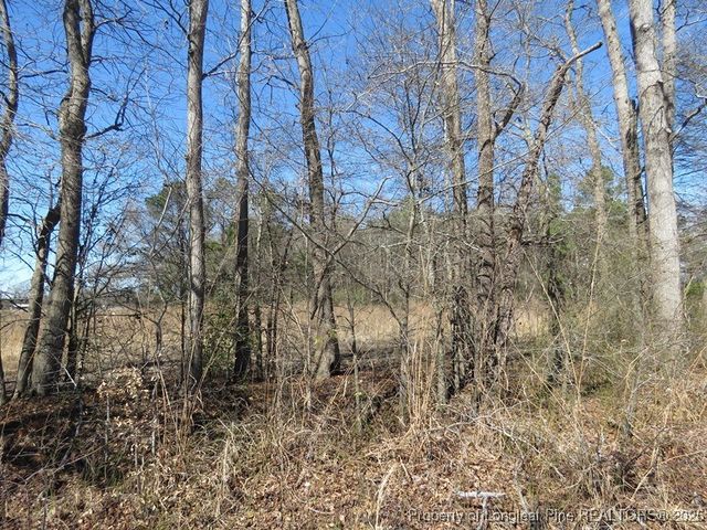 TBD Kehukee Drive, Parkton, NC 28371