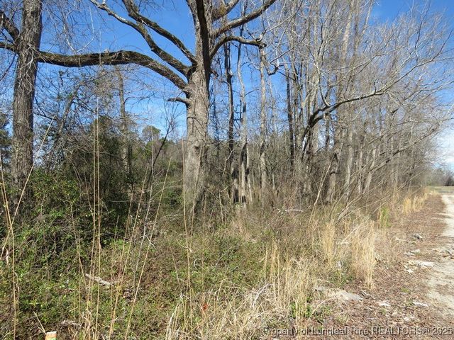 TBD Kehukee Drive, Parkton, NC 28371