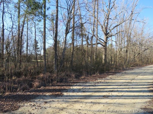 TBD Kehukee Drive, Parkton, NC 28371