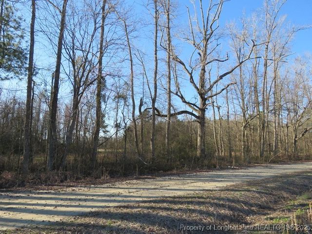 TBD Kehukee Drive, Parkton, NC 28371