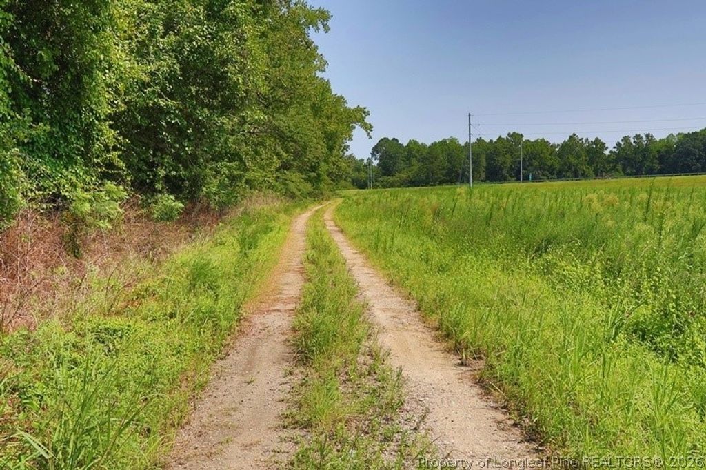 TBD Kehukee Drive, Parkton, NC 28371 — photo 11