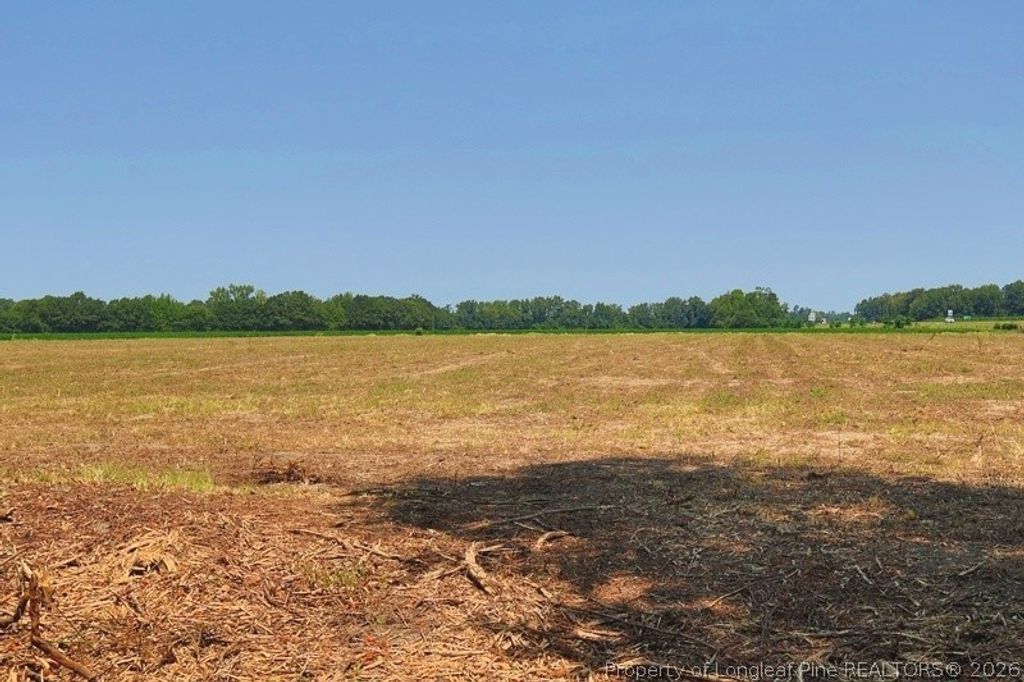 TBD Kehukee Drive, Parkton, NC 28371 — photo 13