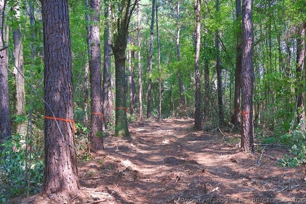 TBD Kehukee Drive, Parkton, NC 28371 — photo 2