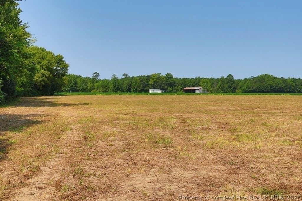 TBD Kehukee Drive, Parkton, NC 28371 — photo 4