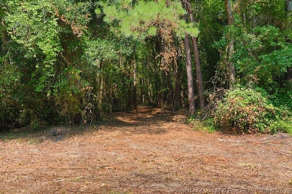 TBD Kehukee Drive, Parkton, NC 28371 — photo 6