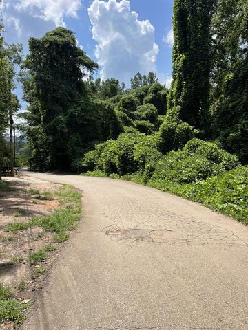 238 Canton Street, Canton, GA 30114