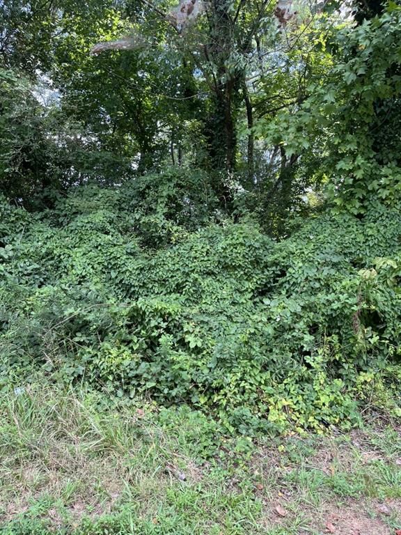238 Canton Street, Canton, GA 30114