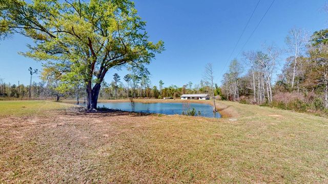 6615 State Line Road, Cottonwood, AL 36320