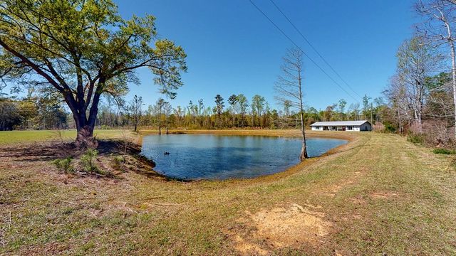 6615 State Line Road, Cottonwood, AL 36320