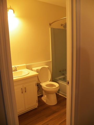 408 Bristlecone Drive, Ladson, SC 29456