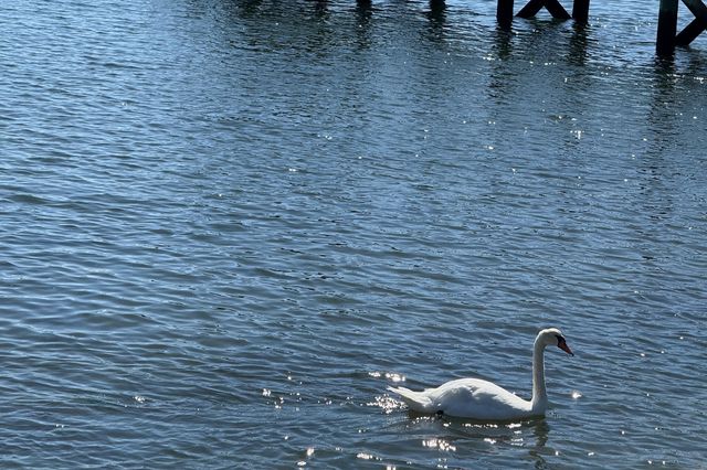 45 Seth Lane, South Yarmouth, MA 02664