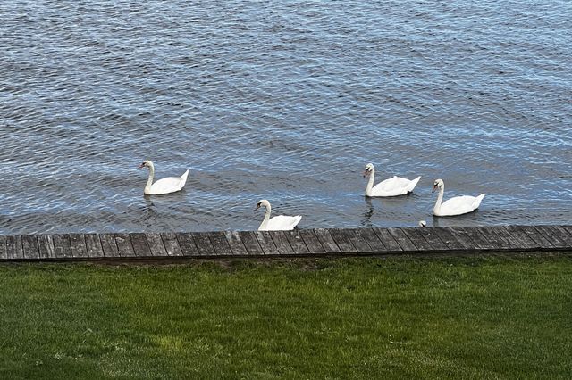 45 Seth Lane, South Yarmouth, MA 02664