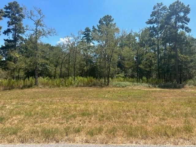 TBD Westview - 20 Acres, Huntsville, TX 77320