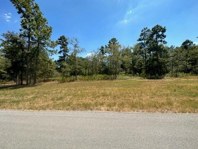 TBD Westview - 20 Acres, Huntsville, TX 77320