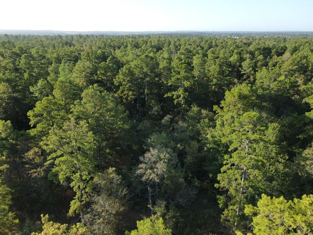 TBD Westview - 20 Acres, Huntsville, TX 77320
