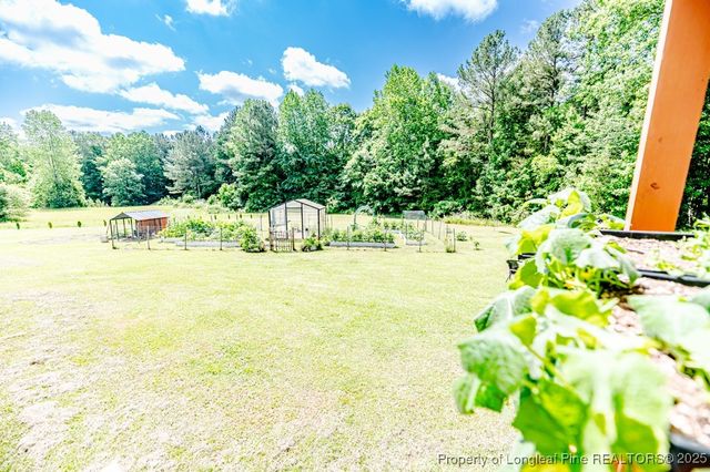 1001 Dycus Road, Sanford, NC 27330