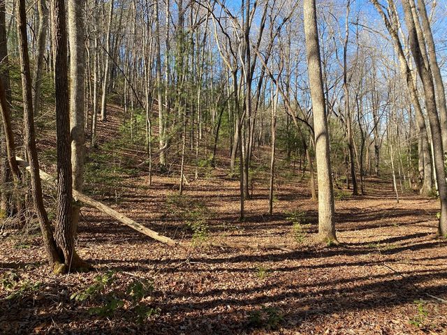 TBD Collett Wood Cove, Andrews, NC 28901