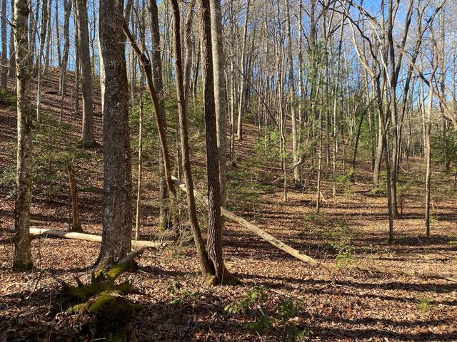 TBD Collett Wood Cove, Andrews, NC 28901