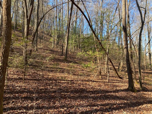 TBD Collett Wood Cove, Andrews, NC 28901