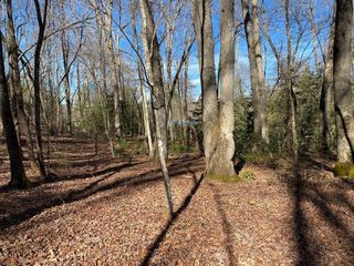 TBD Collett Wood Cove, Andrews, NC 28901