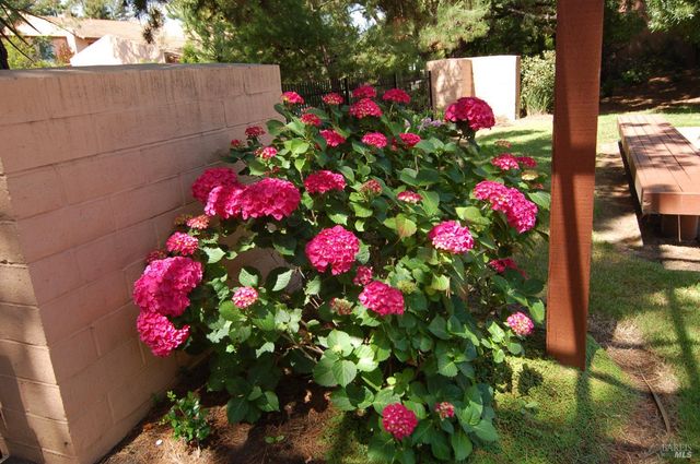 1118 Marina Dr, Napa, CA 94559