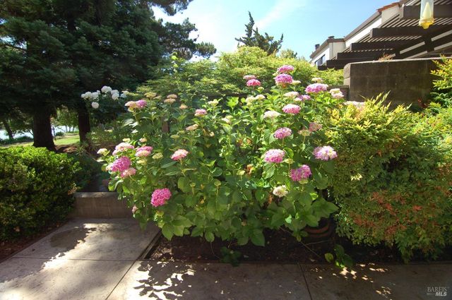 1118 Marina Dr, Napa, CA 94559