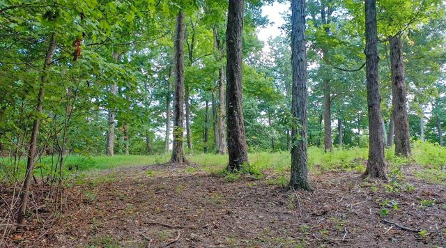 7659 Burks Rd, Christiana, TN 37037