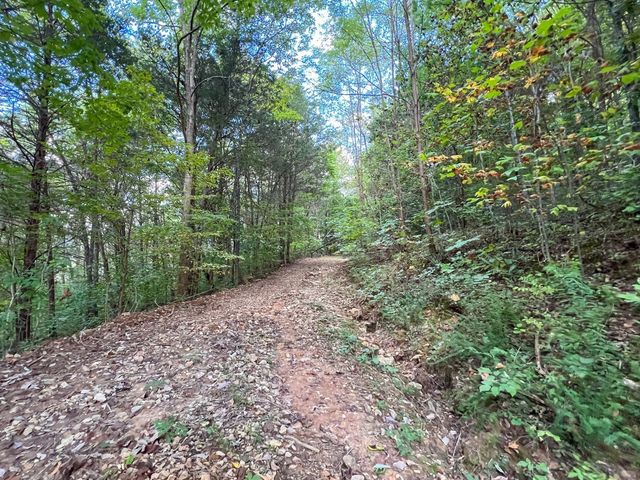 7659 Burks Rd, Christiana, TN 37037