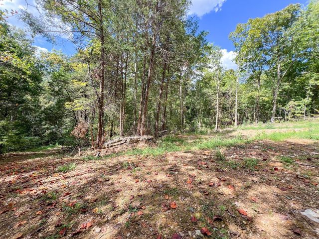 7659 Burks Rd, Christiana, TN 37037
