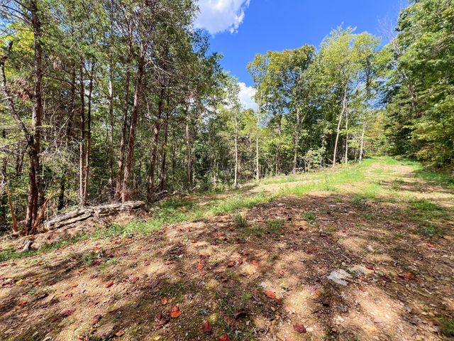 7659 Burks Rd, Christiana, TN 37037