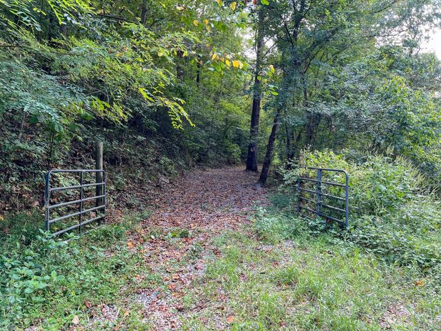7659 Burks Rd, Christiana, TN 37037
