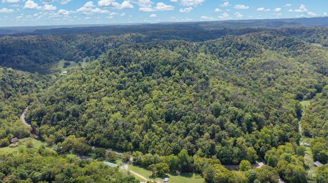 7659 Burks Rd, Christiana, TN 37037