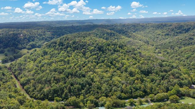 7659 Burks Rd, Christiana, TN 37037